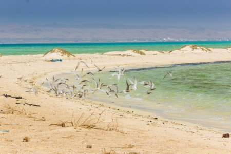 Il modello sostenibile del Gorgonia Beach Resort