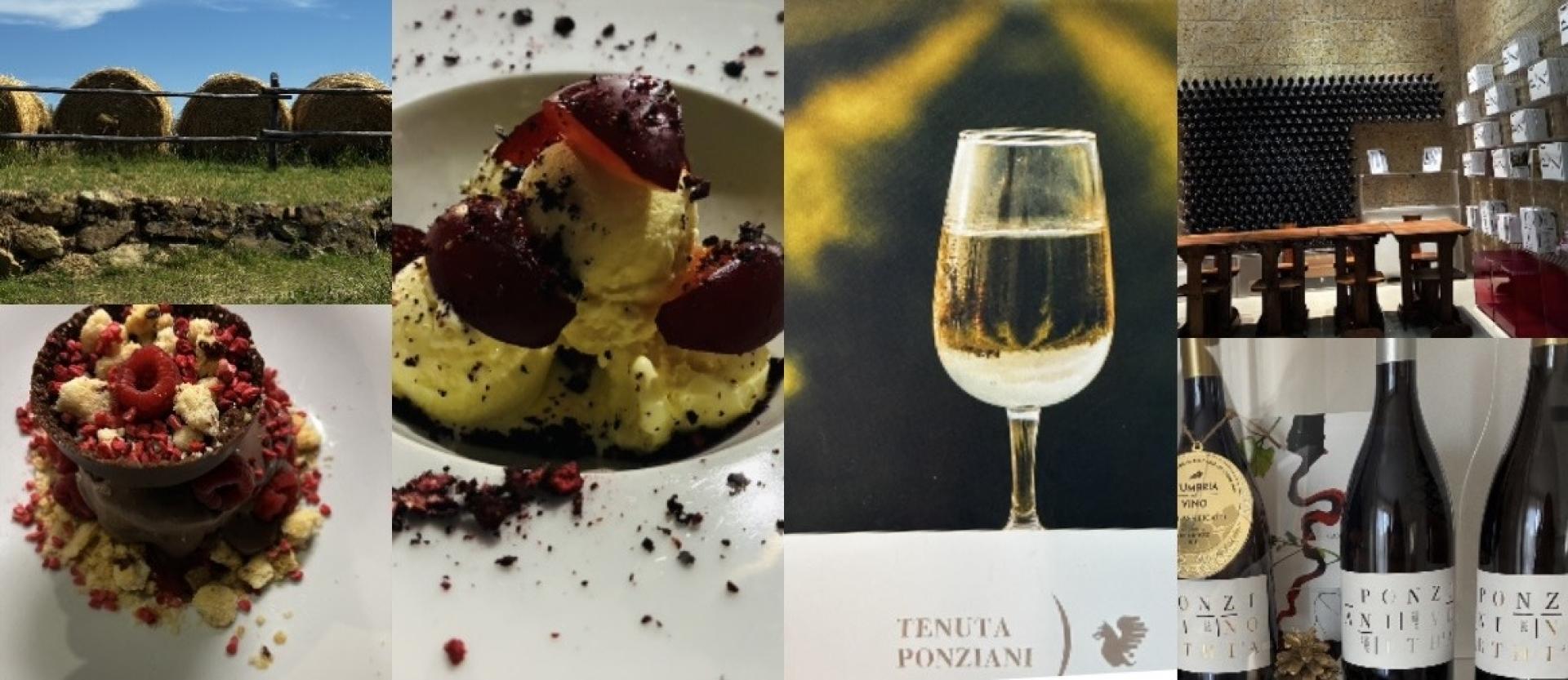 Vino, Alta Cucina e Arte